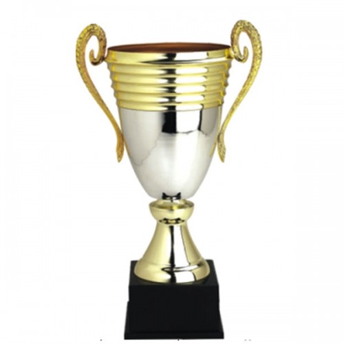Cúp 04 Cúp 04