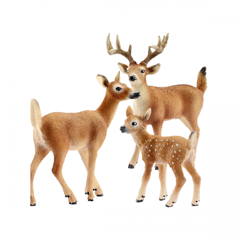 Nai - Hươu - Tuần Lộc