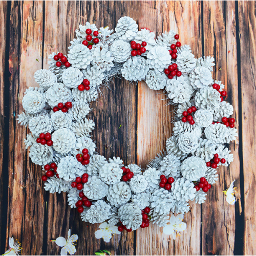 VNQ Chủ đề quả thông 6