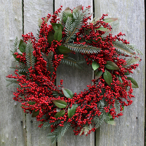 VNQ Chủ đề trái châu 3