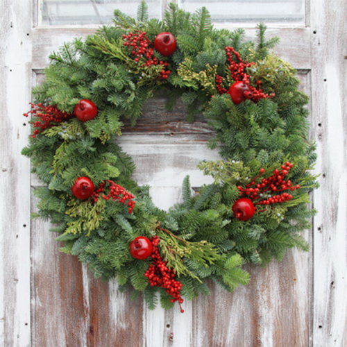 Vòng Nguyệt Quế Quả 1