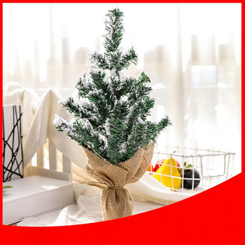 Sản phẩm để bàn 25