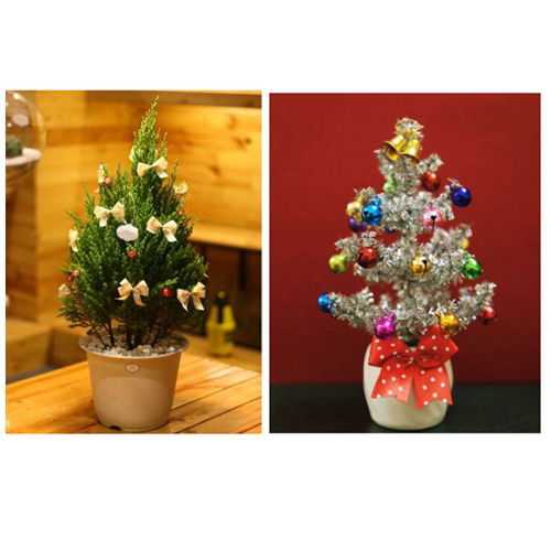 Sản phẩm để bàn 27