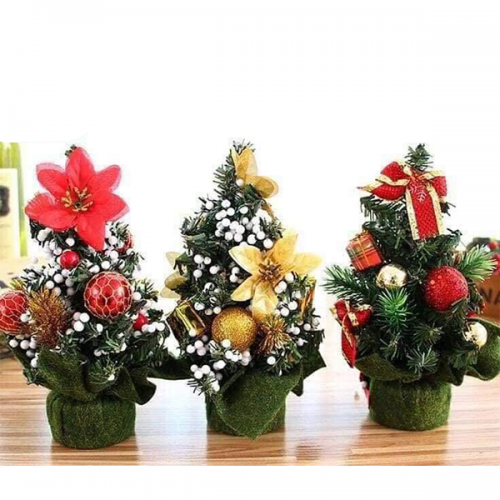 Sản phẩm để bàn 29