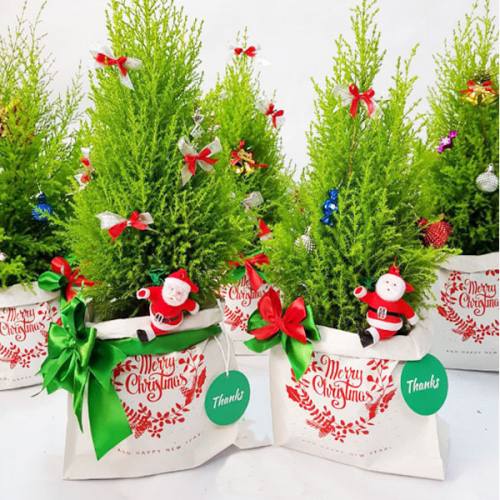 Sản phẩm để bàn 4