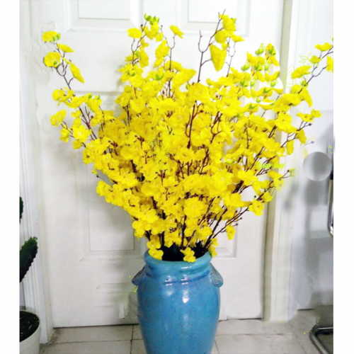 Cành mai 2 Cành mai 2